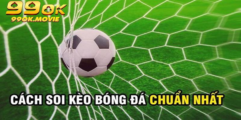 Chiến thuật soi kèo bóng đá chính xác từ chuyên gia hiệu quả 100%